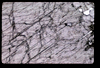 XENO_17_11