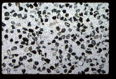 AP14/ap1404_01_05.jpg