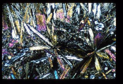 AP15/ap1504_01_13.jpg