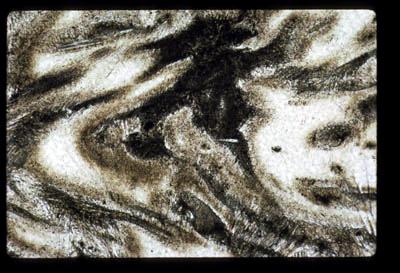 AP15/ap1505_07_09.jpg